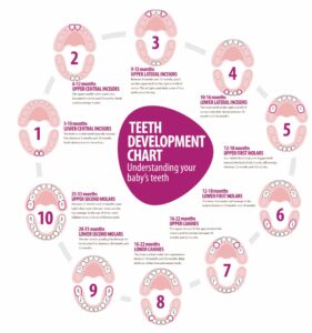 delayed tooth development